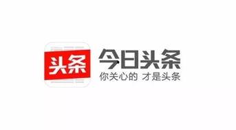 头条长图怎么拍的,轻松掌握长图制作秘籍