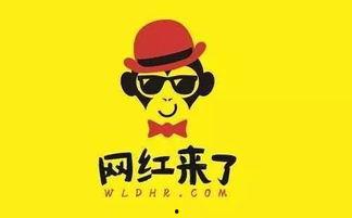 网红仅指在网络上,网络世界的明星之路