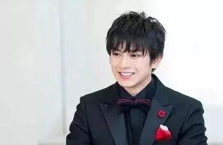 男明星新田,闪耀银幕的男明星崛起之路