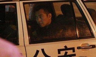 无证驾驶的明星,无证驾驶明星的警示录