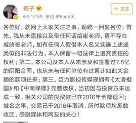 崔永元最新更新爆料,揭露娱乐圈惊人内幕，揭秘明星真实面目！