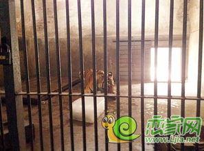 丛台吃瓜,探寻古都邯郸的夏日风情