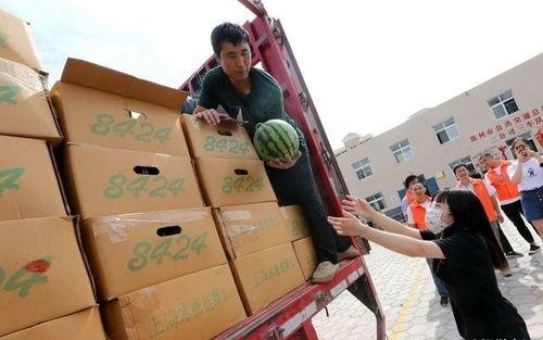 吃瓜在公交司机家,邻里齐聚共享欢乐时光