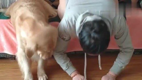 今日头条兴凯湖莹莹,探寻东北明珠的生态魅力与人文风情