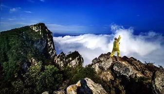 明星去庐山,明星足迹下的山水画卷