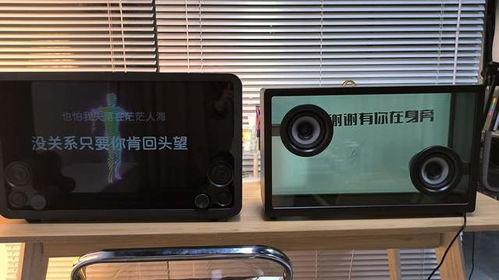 网红歌词音响,探寻流行音乐的共鸣之声