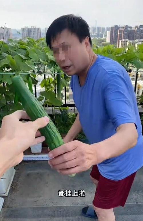 北京头条大爷图片最新