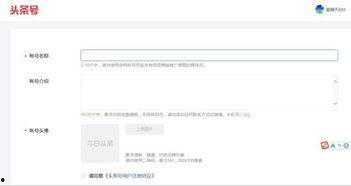 怎样排版头条号文章内容,内容布局与视觉呈现技巧解析