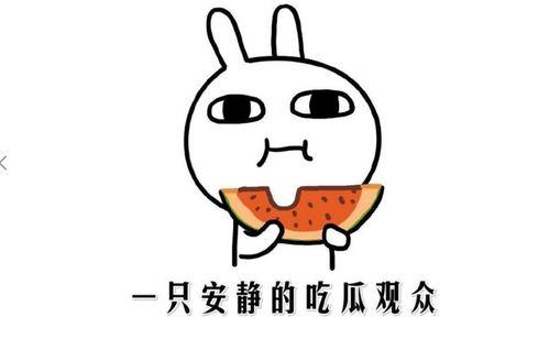 网上说吃瓜是什么意思啊,吃瓜背后的含义与趣味