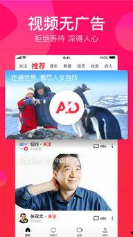 吃瓜娱乐达人视频大全下载,一键下载收藏！