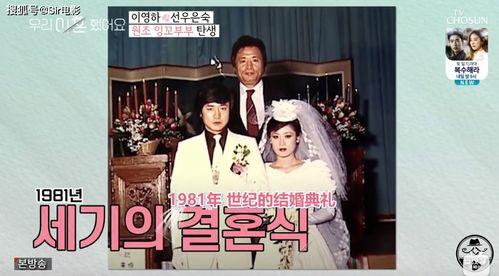 娱乐圈吃瓜党百度百科,揭秘娱乐圈背后的八卦风云