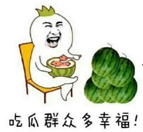 娱乐吃瓜场所有哪些人